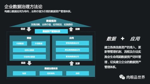 集團(tuán)數(shù)據(jù)管控與數(shù)據(jù)治理 一體化解決方案與高效數(shù)據(jù)處理服務(wù)